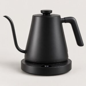 Electric gooseneck kettle with temperature control